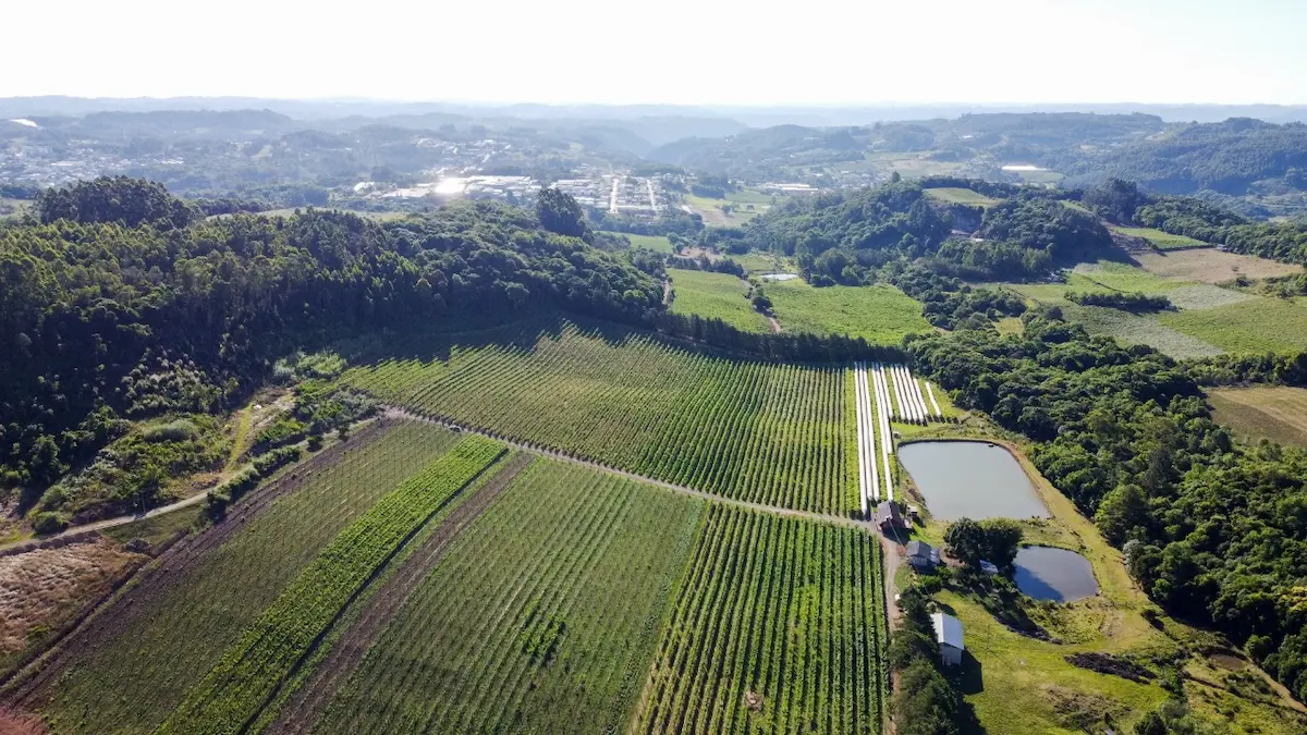 Vinícola Sinuelo em São Marcos(RS)